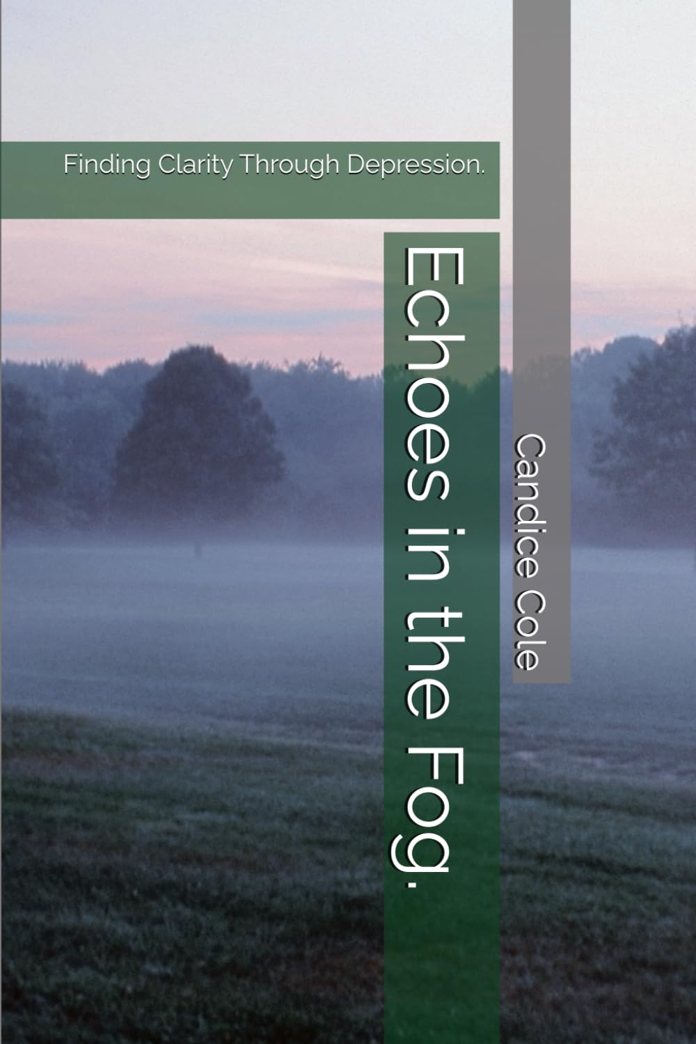 Echoes in the Fog.: Finding Clarity Through Depression.