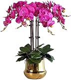 FBANULPEX Künstliche Phalaenopsis Blumen, Falsche Orchideen Künstliches Blumenset, künstliche Orchideenblüten mit Vase, Orchideen-Bonsai, Kunstblumen, Phalaenopsis-Blume aus Seide