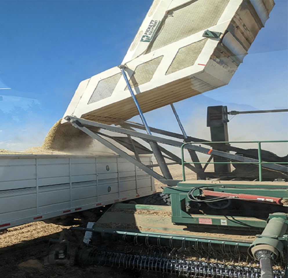 Miniatura 8 de Frijoles Mayocoba High Plains  Bolsa de 10 libras  Frijoles de mayocoba peruanos frescos de granja  Frijoles peruanos de calidad  Verificado sin OMG