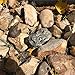 (Type-A (Black), 1 Pack) Fake Rock - Looks Stone - Safe for Outdoor Outdoor Secret Safe Box for Keys, Fake Stone Rock Yard House Accessories