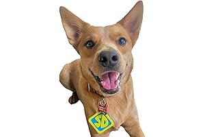 ComfyCamper Scooby Doo Dog Costume Collar Tag