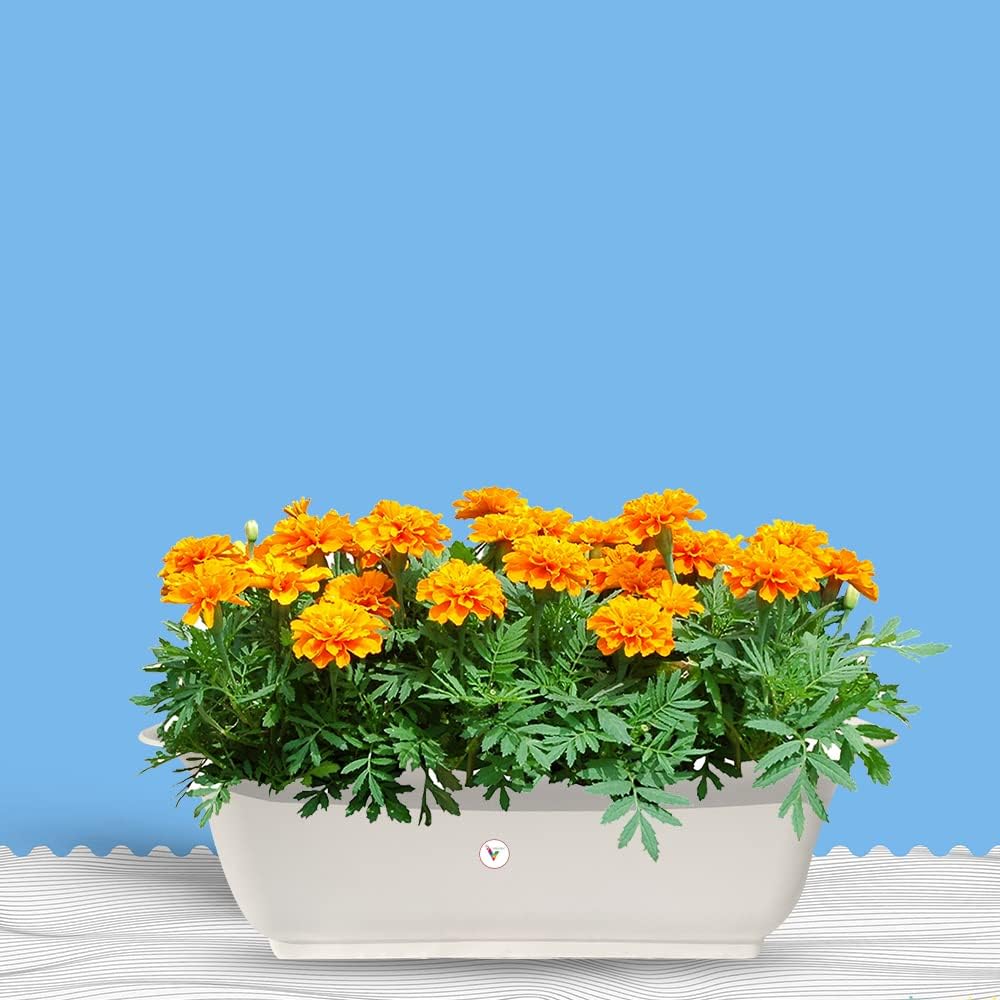 VINSHRA Rectangular Plastic Flower Pots, White, 20 Inch, 4 Pieces Window Planter, Make Garden, Suitable for Indoor/Outdoor Balcony, Lightweight, Weather Uv Resistant
