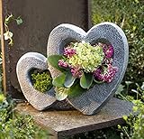 Pflanzer Herzen grau, in Stein Optik, ausgefallenes Pflanzgefäß, 42x13x32 cm, Pflanztopf, Blumentopf, Pflanzkübel, Garten-Deko für Draußen