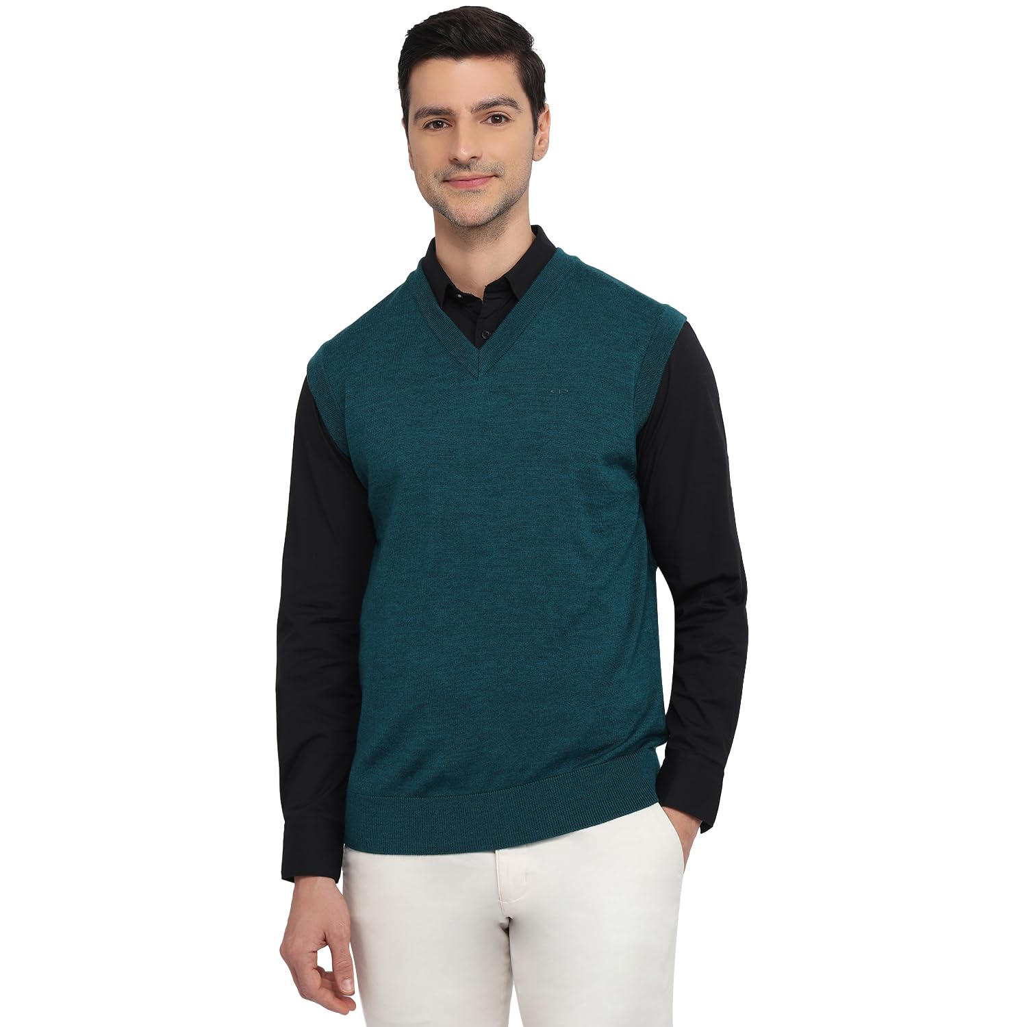 colorplus Men Regular Fit Plain Pattern Marino Wool Acryalic Blend Sleeveless V Neck Casual Sweater-picture-49
