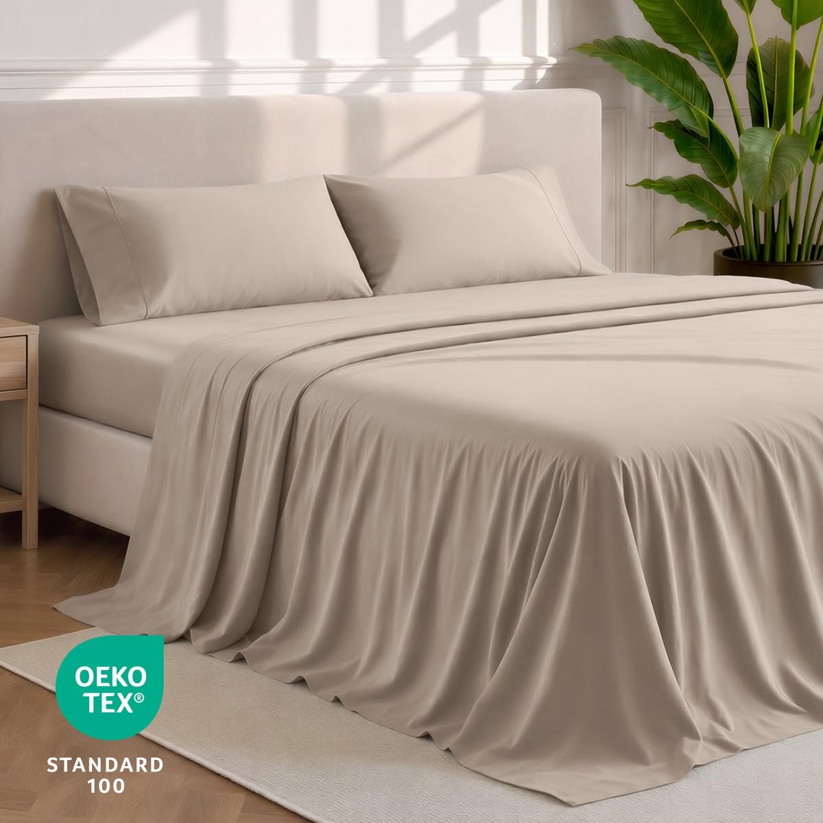 View 4