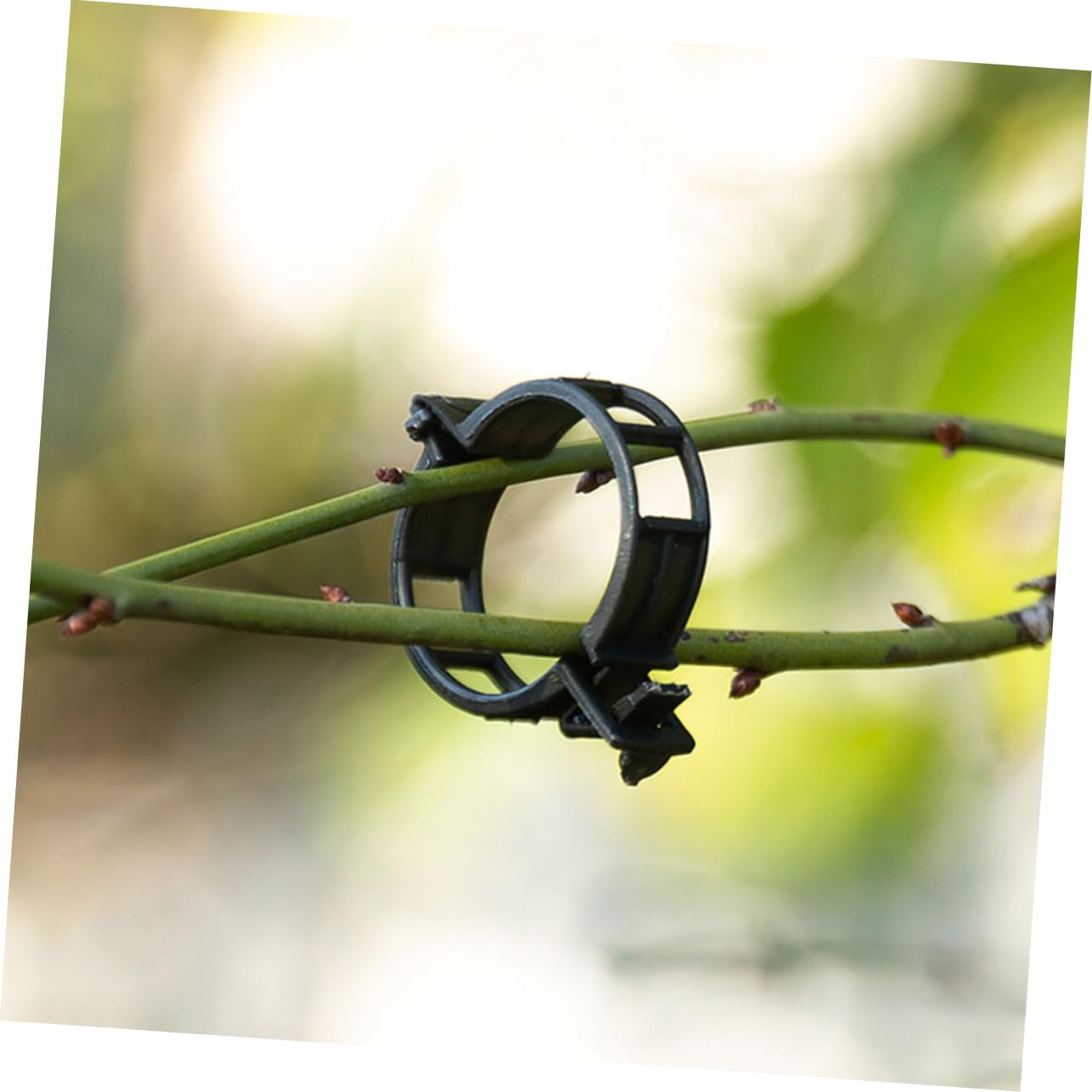 Hemobllo 400stücke Pflanzenclips Für Garten Verstellbare Klammern Unterstützung Von Tomaten Orchideen Und Kletterpflanzen Langlebige Pflanzenhalter Material Für Und Blumen