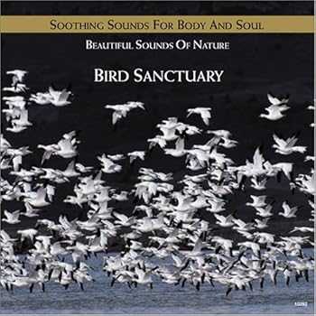 Audio CD Bird Sanctuary Book