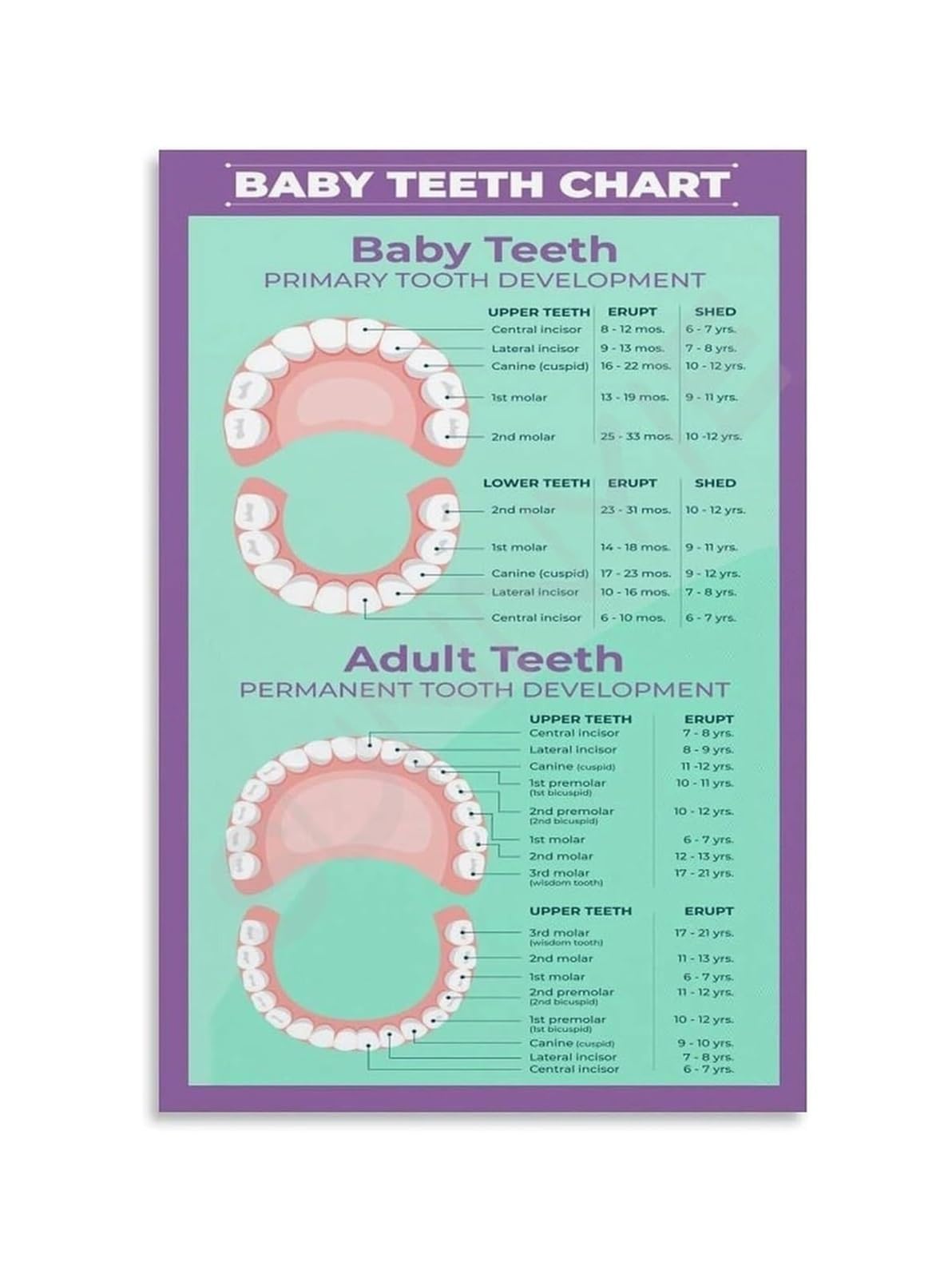 Tableau poussée dentaire bébé cadeau de naissance idéal avec cadre moderne
