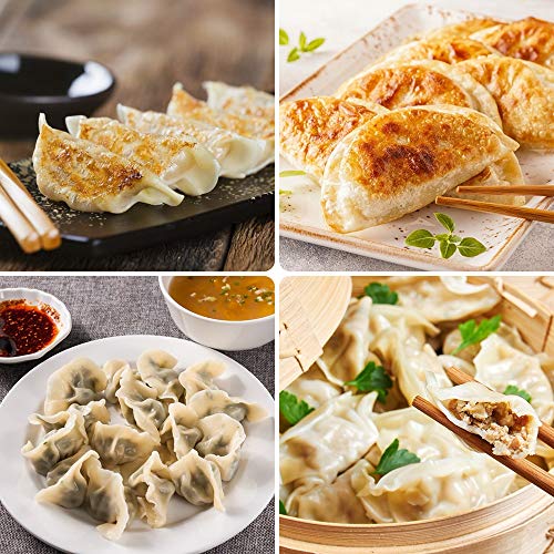 Aeakey Stainless Steel Dumpling Maker,1 Dumpling Skin Maker 2 Dumplings molds Chinese Dumpling Cutter Pie Ravioli Empanadas Press Mold Kitchen Accessories (Large)