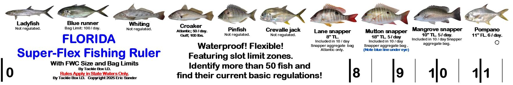 Two (2) Florida Super-Flex Folding Fishing Rulers with Color Photos of 54 FL Saltwater Fish and Their Rules Plus Lots of FL Angler Information