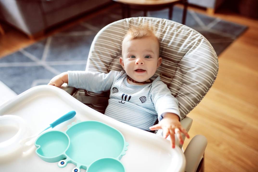 Silicone Suction Plate for Toddlers - Self Feeding Training Divided Plate Dish and Bowl for Baby and Toddler, Fits for Most Highchairs Trays, BPA Free Microwave Dishwasher Safe : Baby