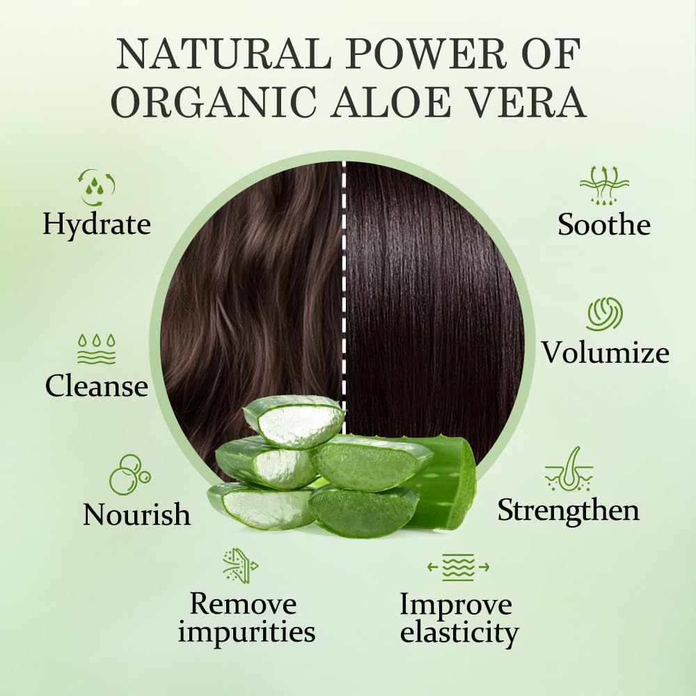 Amazon.com : Aloderma Aloe Volumizing Shampoo 16oz - Fresh, Organic Aloe  Vera Shampoo (No Water Added) for Fine, Brittle, Thinning Hair - Infused  with Arginine & Panthenol - No Alcohol, Parabens, or