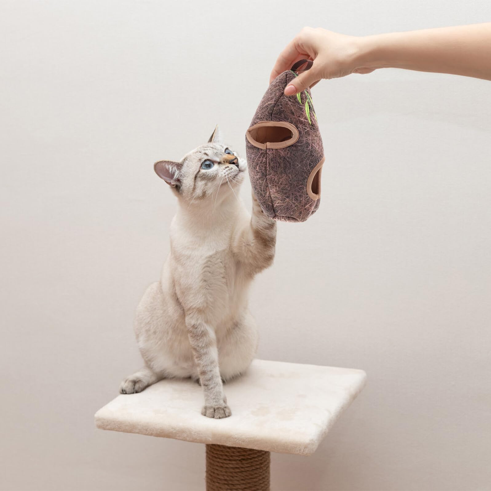 Toddmomy Simulation Vogelkäfig Katzenspielzeug Plüsch Vogel mit Quietschfunktion Interaktives Kauspielzeug für Katzen Bunte Indoor Übungsspielzeuge für Kätzchen und Erwachsene Katzen zur