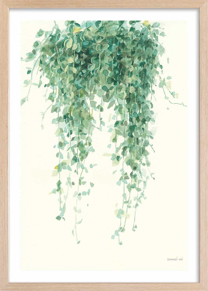 Póster de planta suculenta ilustrada, fabricado en Francia, 60 x 90 cm