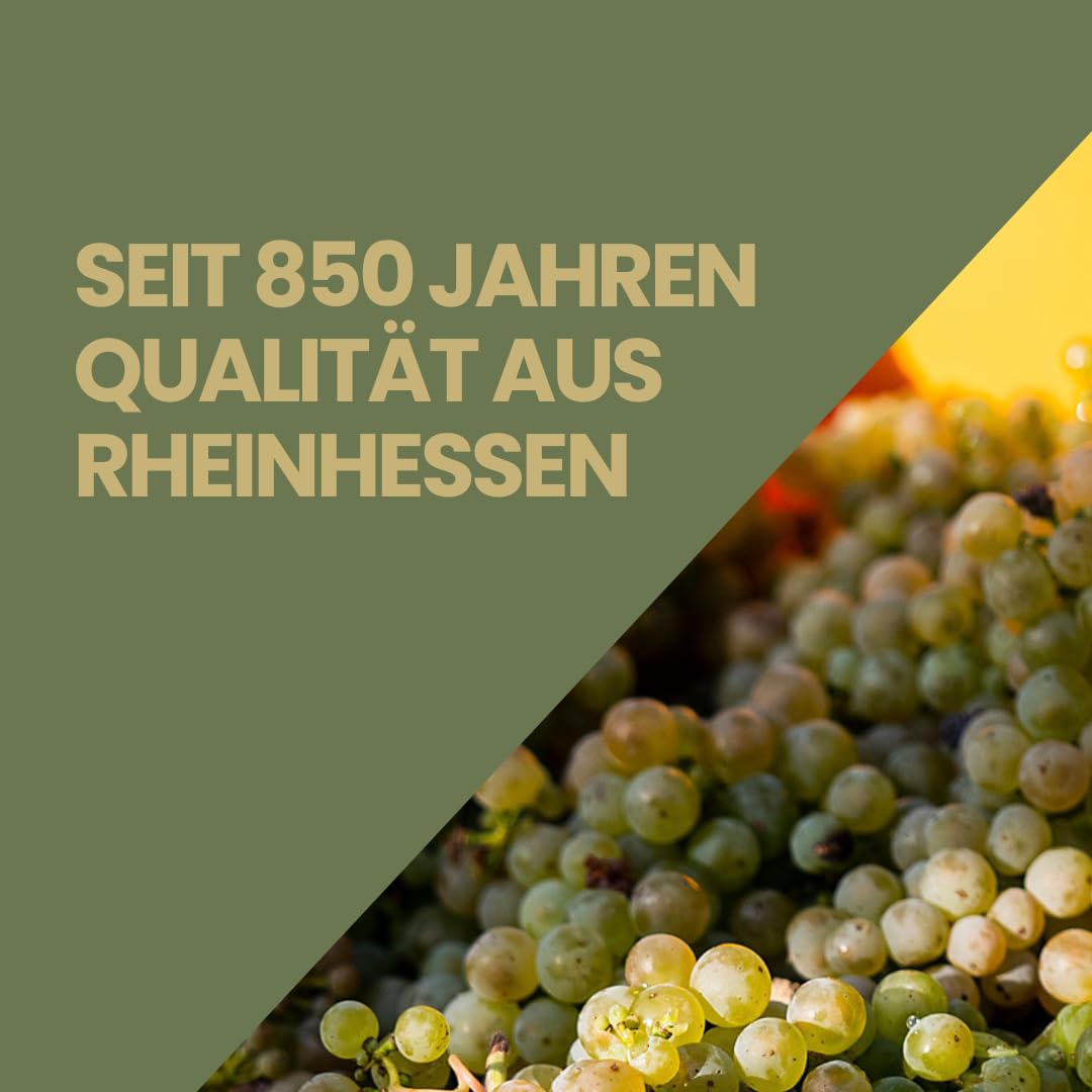 Weinpaket „Riesling für Einsteiger“ | 3 Flaschen Kloster Eberbach | Feinherb, Classic & Trocken | Ideal für Riesling-Neulinge | 3x 750ml