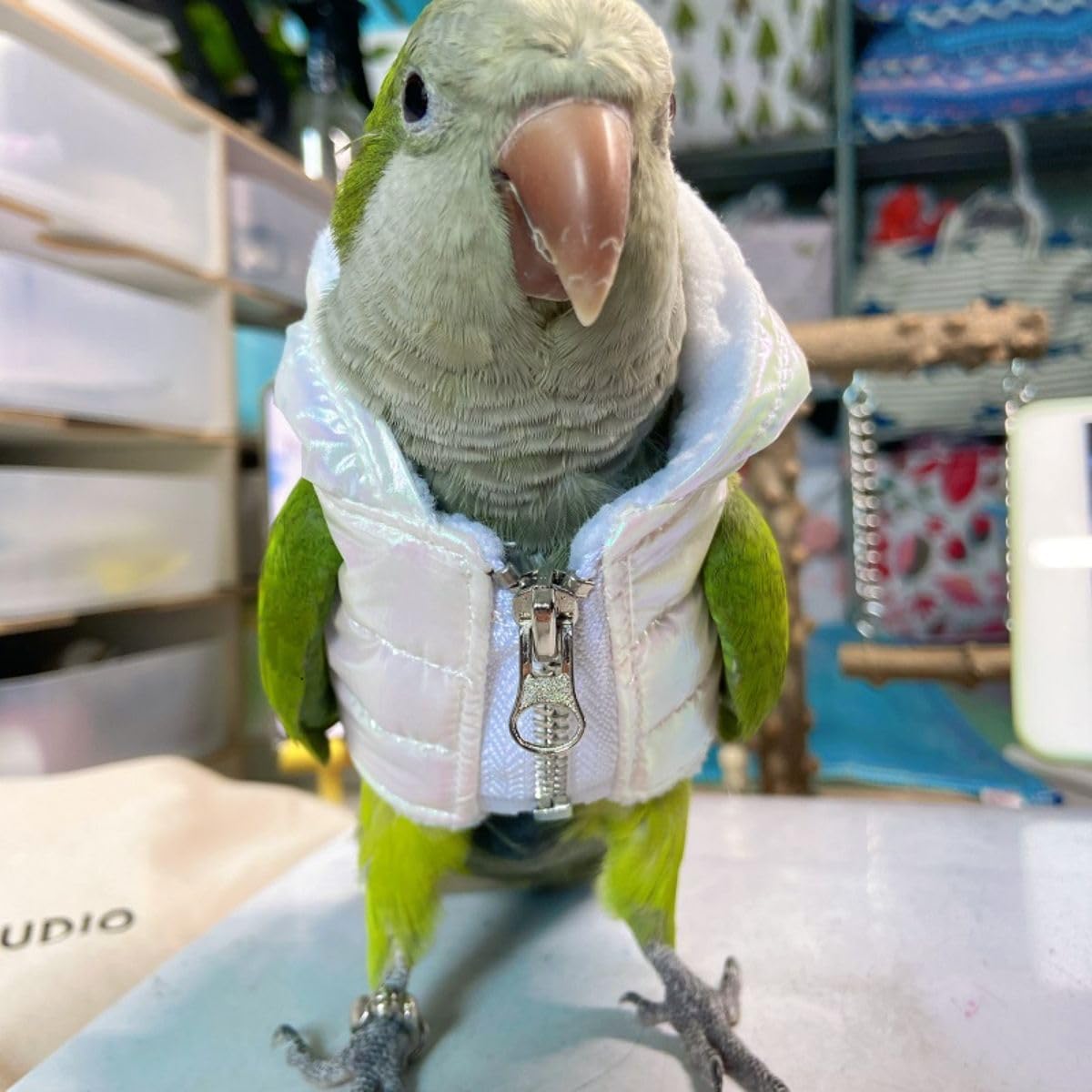Bird Cloth Christmas Party Birthday Costume for Parrot Halloween Pet Birds Clothes Birds Cosplay Outfit Hoodies (2XL)