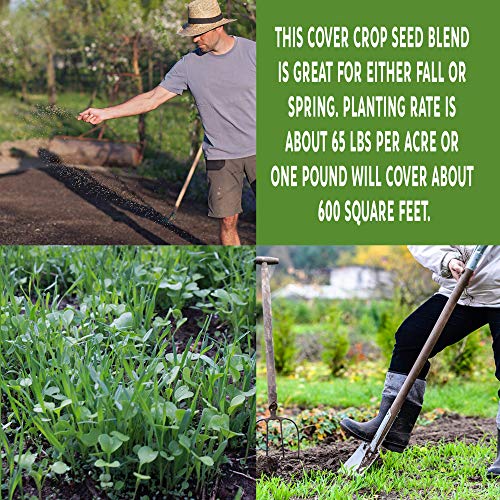 Forage Crop Seed Blends For Cattle Feed Temperate Climates
