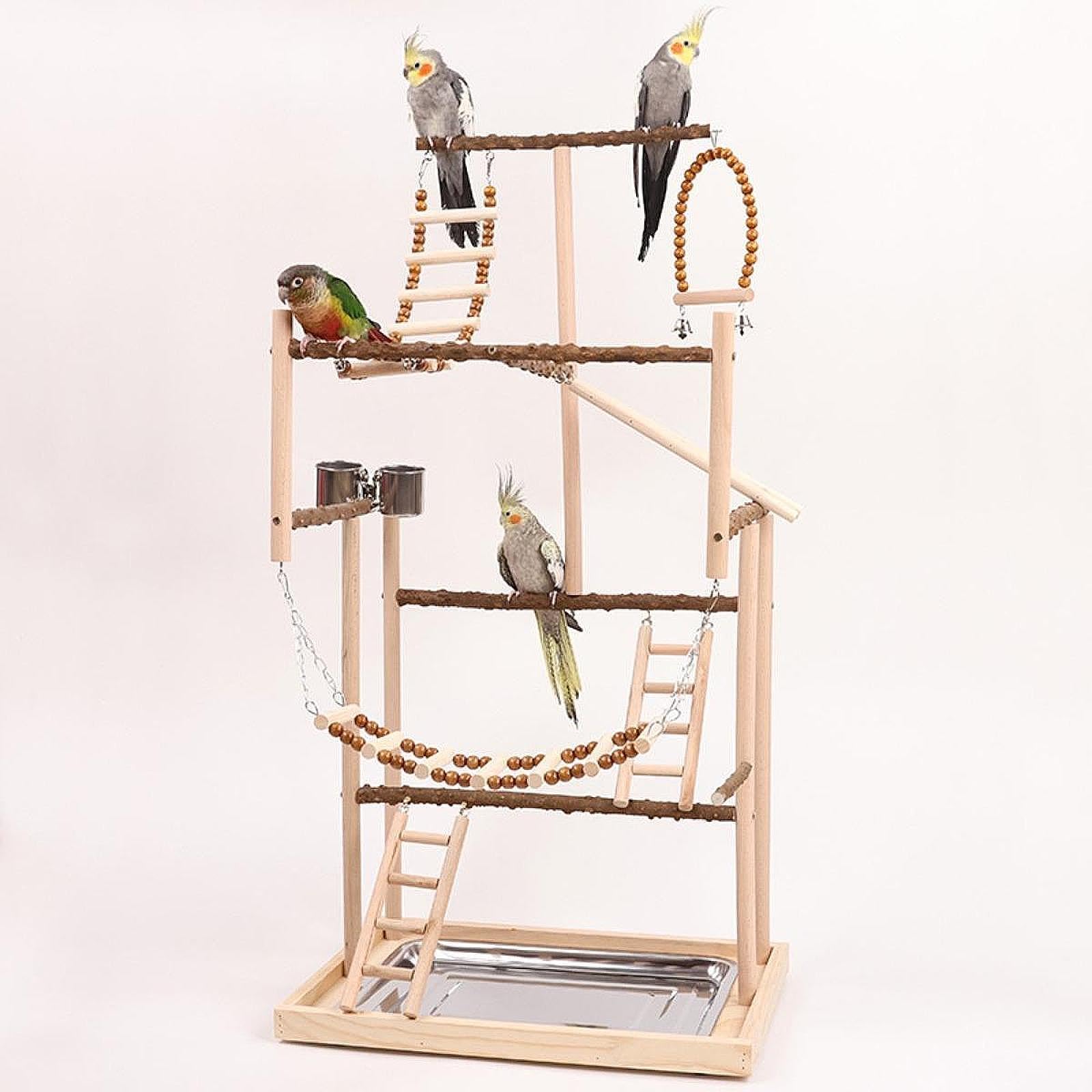 Perchoir pour Perruches, Structure de Jeux pour Oiseaux, Centre D'activités pour Oiseaux avec échelle et Perchoir en Bois