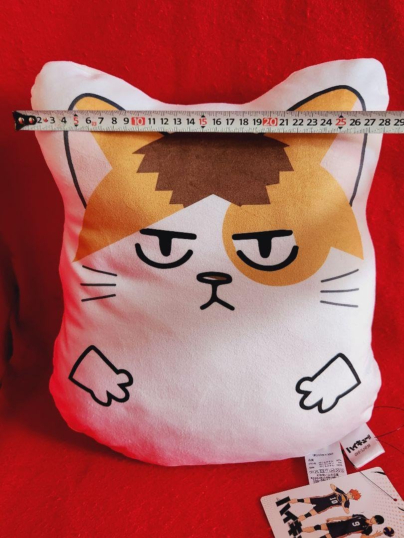 Amazon.co.jp: ハイキュー 音駒 孤爪研磨 クッション 猫 : 文房具