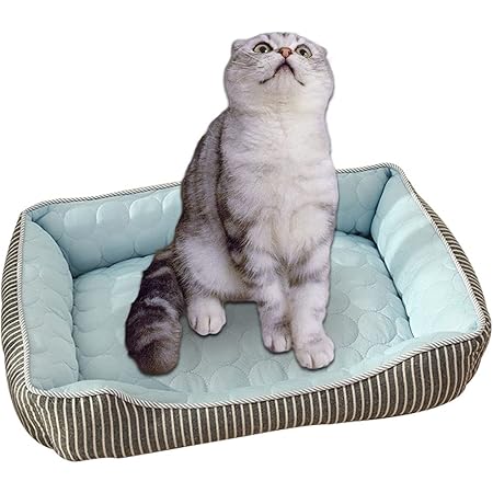 Amazon Aikssoo ペットベッド 夏用 猫ベッド 犬ベッド ペットクッション ひんやり 冷感 ペットマット ペットソファー 冷感マット 滑り止め 通気性 洗える ふわふわ ペット用品 暑さ対策 ブルー S 46x35x15cm Aikssoo ベッド クッション 通販 Amazon Aikssoo ペットベッド 夏用 猫ベッド 犬ベッド ペットクッション ひんやり 冷感 ペットマット ペットソファー 冷感マット 滑り止め 通気性 洗える ふわふわ ペット用品 暑さ対策 ブルー S 46x35x15cm Aikssoo ベッド クッション 通販