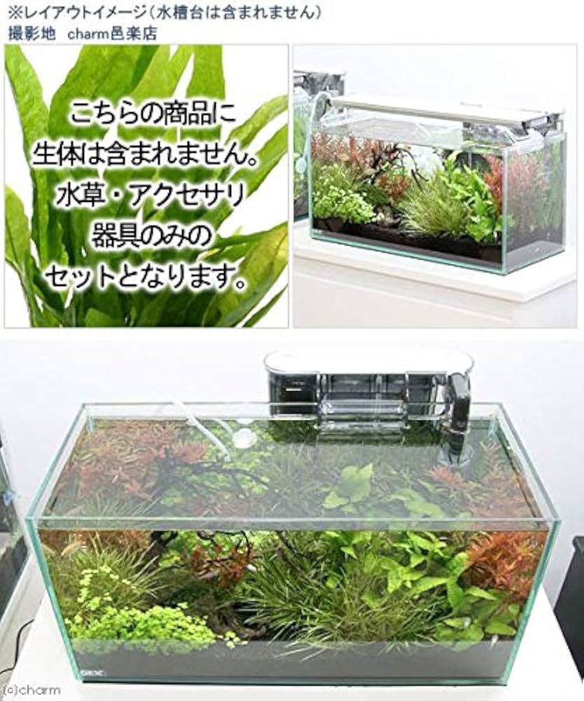 Amazon | 【charm】(水草)GEX グラステリア スリム450水槽