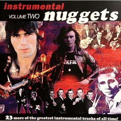 InstrumenaI Nuggets