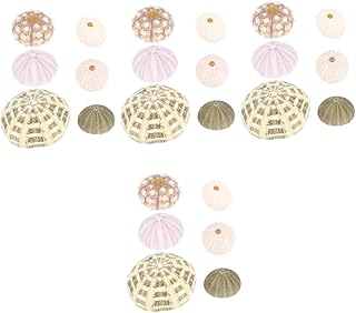 IMIKEYA 24 Peças Concha Concha Novidade Vaso De Planta Pequena Planta De Ar Suporte De Concha Do Mar Conchas De Ouriço Do Mar Enfeite De Concha Ouriços Do Mar Plantadores Decorativos