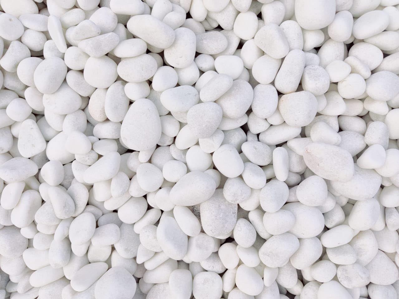BABA KA DEEWANA Unpolished White Pebble Stone(5Kg,Small)(Irregular Size&Shape)For Aquarium/Fish Tank,Garden,Swimming Pool,Pots,Home,Garden,And Lawn Decorative Pebbles/Marble(5 Kg) (B0D3QS9MZQ) Amazon Price History, Amazon Price Tracker