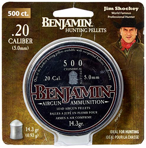 Best Pellet For Rifles