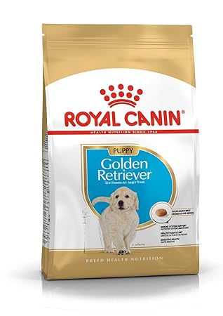 Royal Canin Golden Retriever Puppy Pellet Young Dog Food, Meat Flavor, 1000g