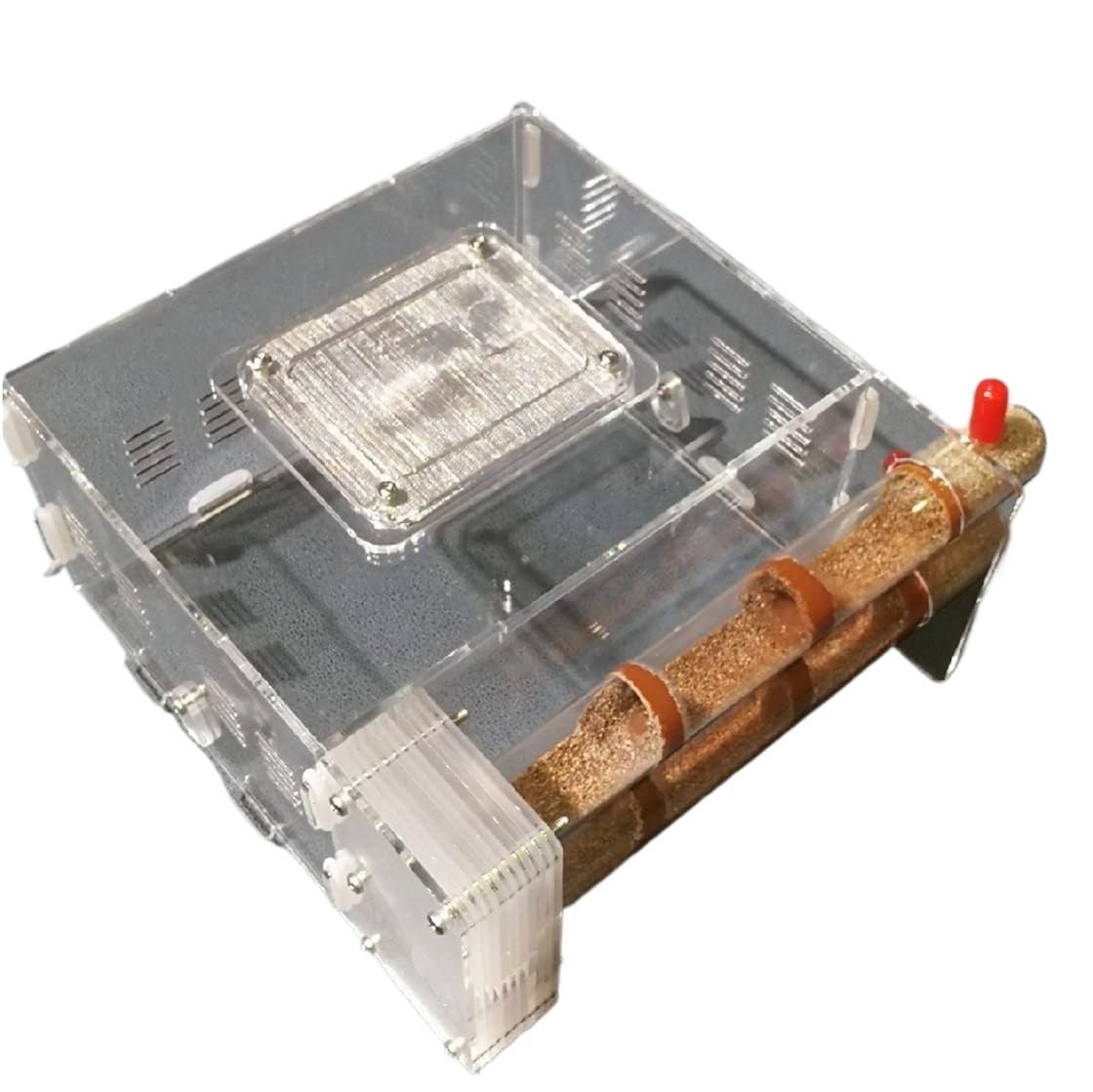 Ameisenformikarium, Bambus-Reagenzglas-Ameisennest, Acryl-Ameisen. 2 Stück Futter. Feuchtigkeitsspendend. Beobachtung