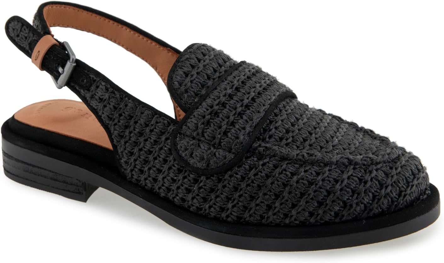Gentle Souls by Kenneth Cole Women's Caleb Ballet Flat 8 Black Raffia