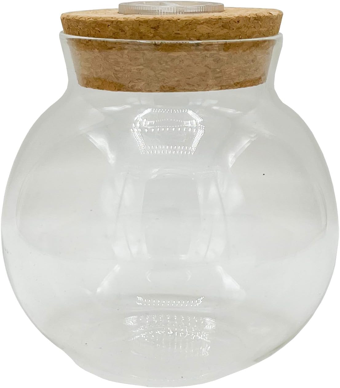 Silver Circle Products Unique Gardener: Glass Terrarium 2 Pack - 4'' with Cork & 3 LEDs - Light-Up Cork, Gardening Planter, Glass, for Succulents, Flowers & More
