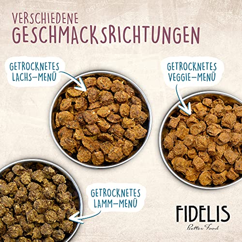 Fidelis - Getrocknetes Hühnchen-Menü für Hunde 1kg - Premium Hundefutter trocken mit 80% Fleischanteil, Gemüse & Obst - Proteinhaltiges Trockenfutter Hund getrocknet - Zucker- & Getreidefrei
