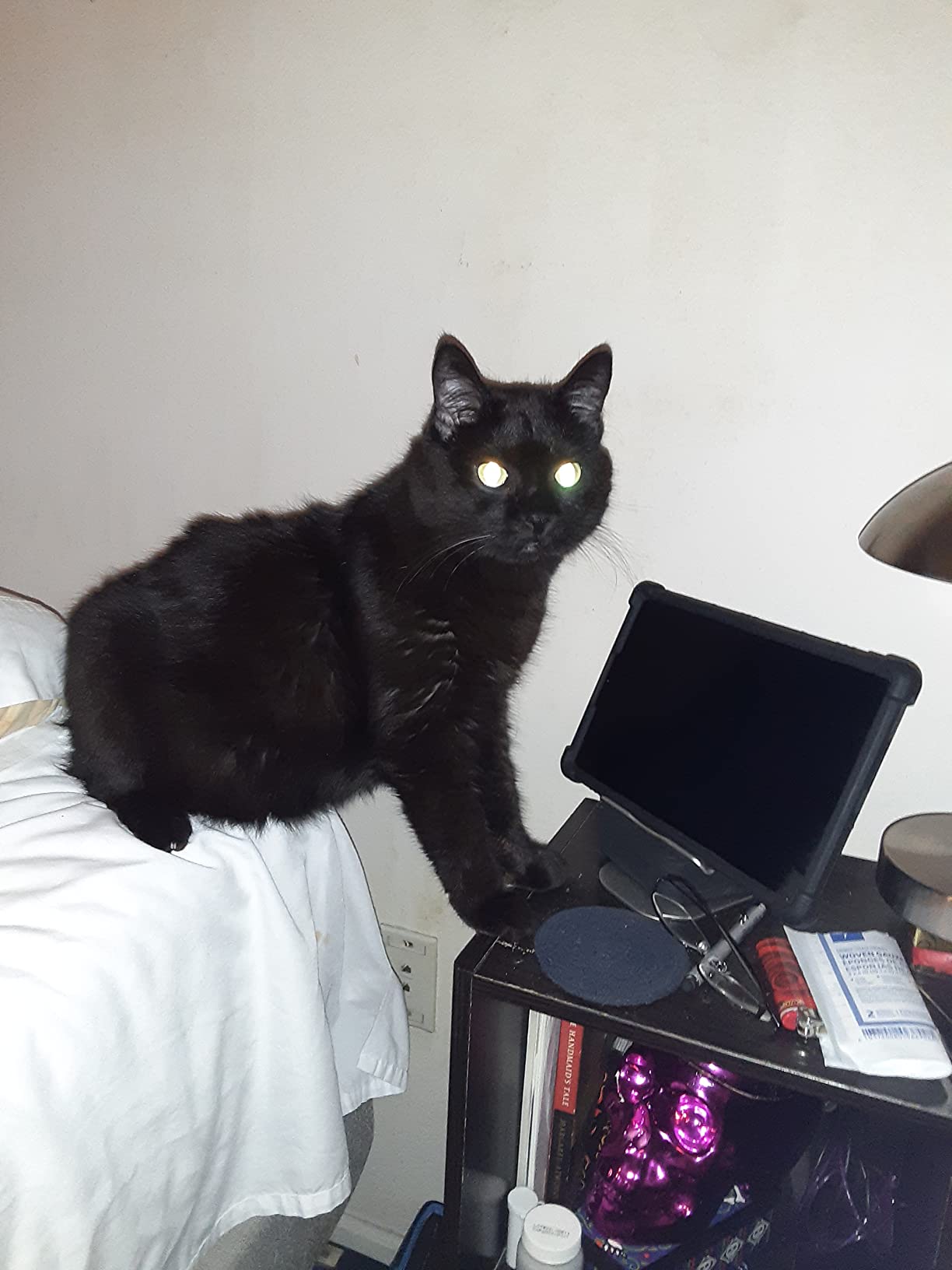 4/mo Finance Purina Fancy Feast Cat Food Buy Now, Pay Later