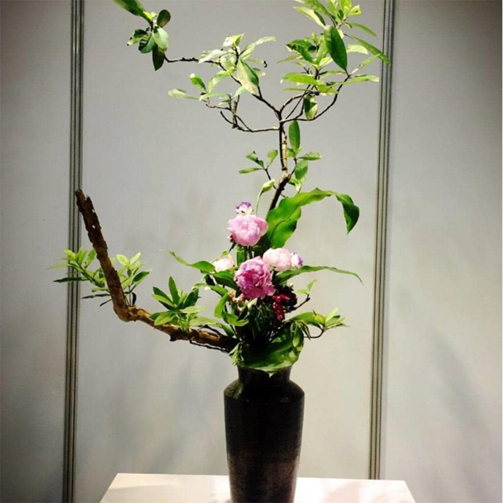 TRENDYNEST Adjustable Flower Arrangement Fixing Tool Ikebana Flower Branch Fixer Stick-image-7