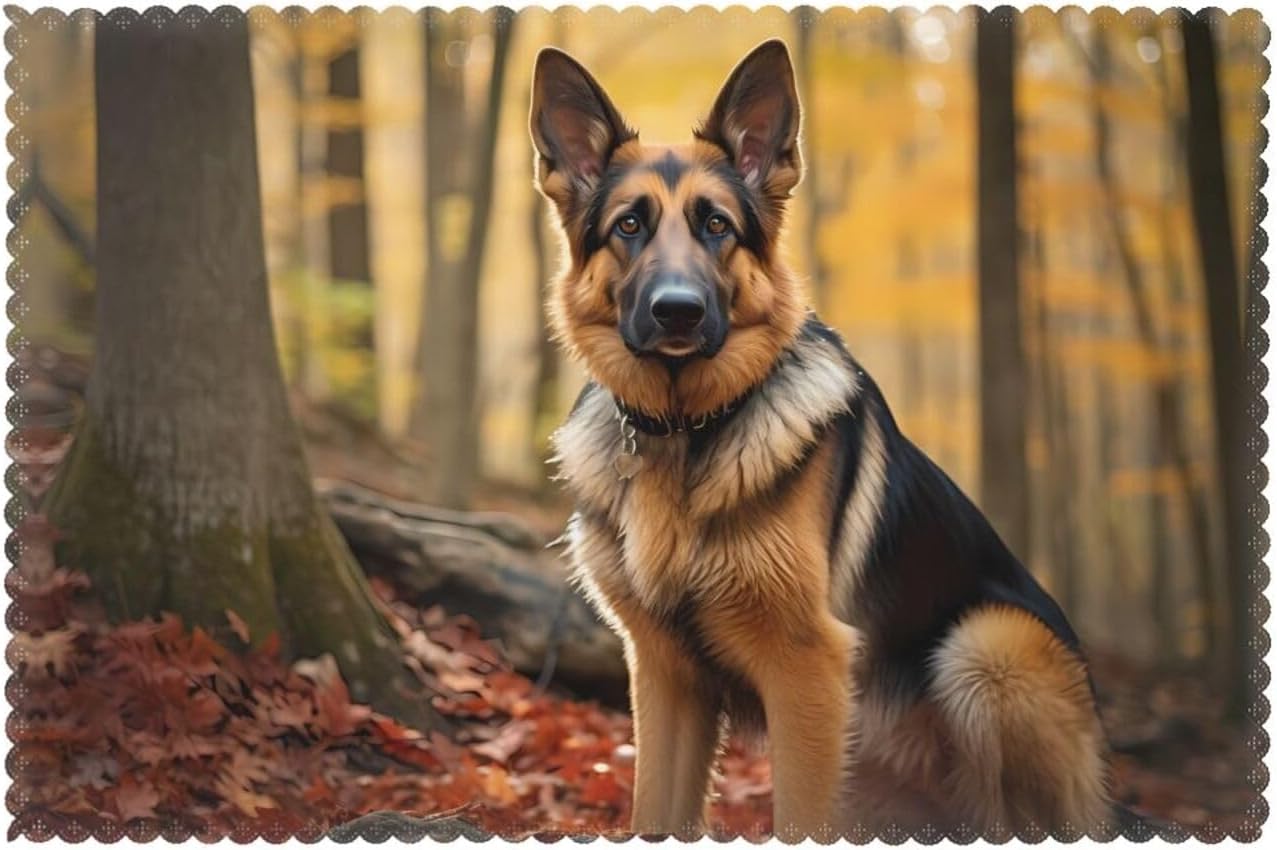 Smart Shepherd Dog Patterned Placemats Set of 6, Restaurant Kitchen Protectors, 12 * 18 Inch Hotel Banquet Decorative Table Mats
