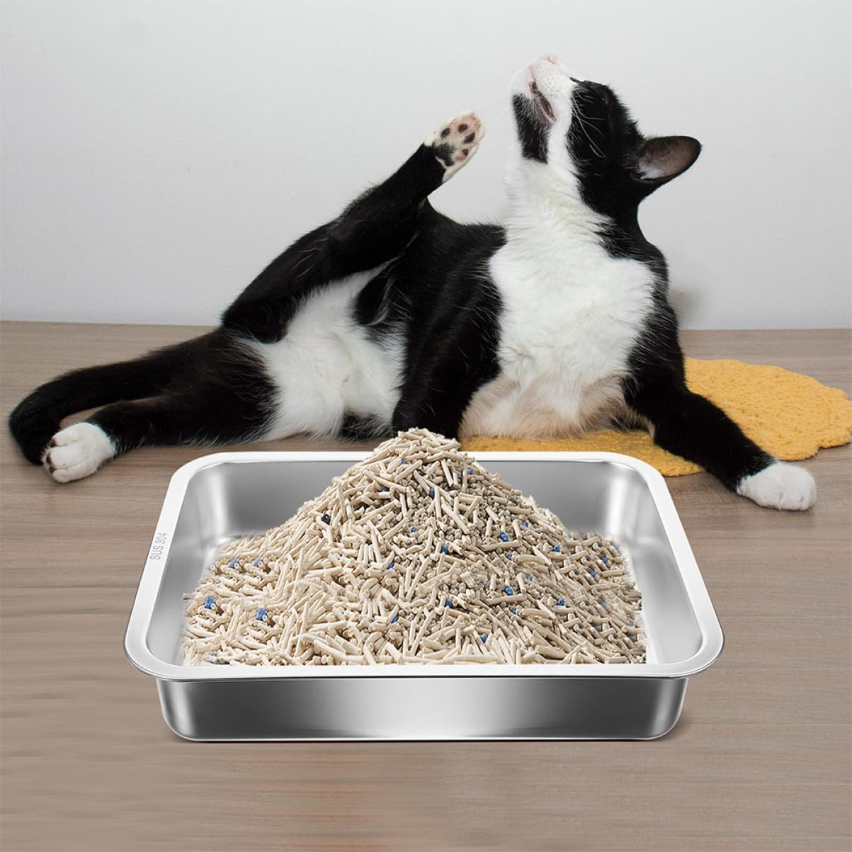 Stainless Steel Cat Litter Box Durable Tray for Small and Cats Easy to Design Open Litter Pan for Effortless Pet