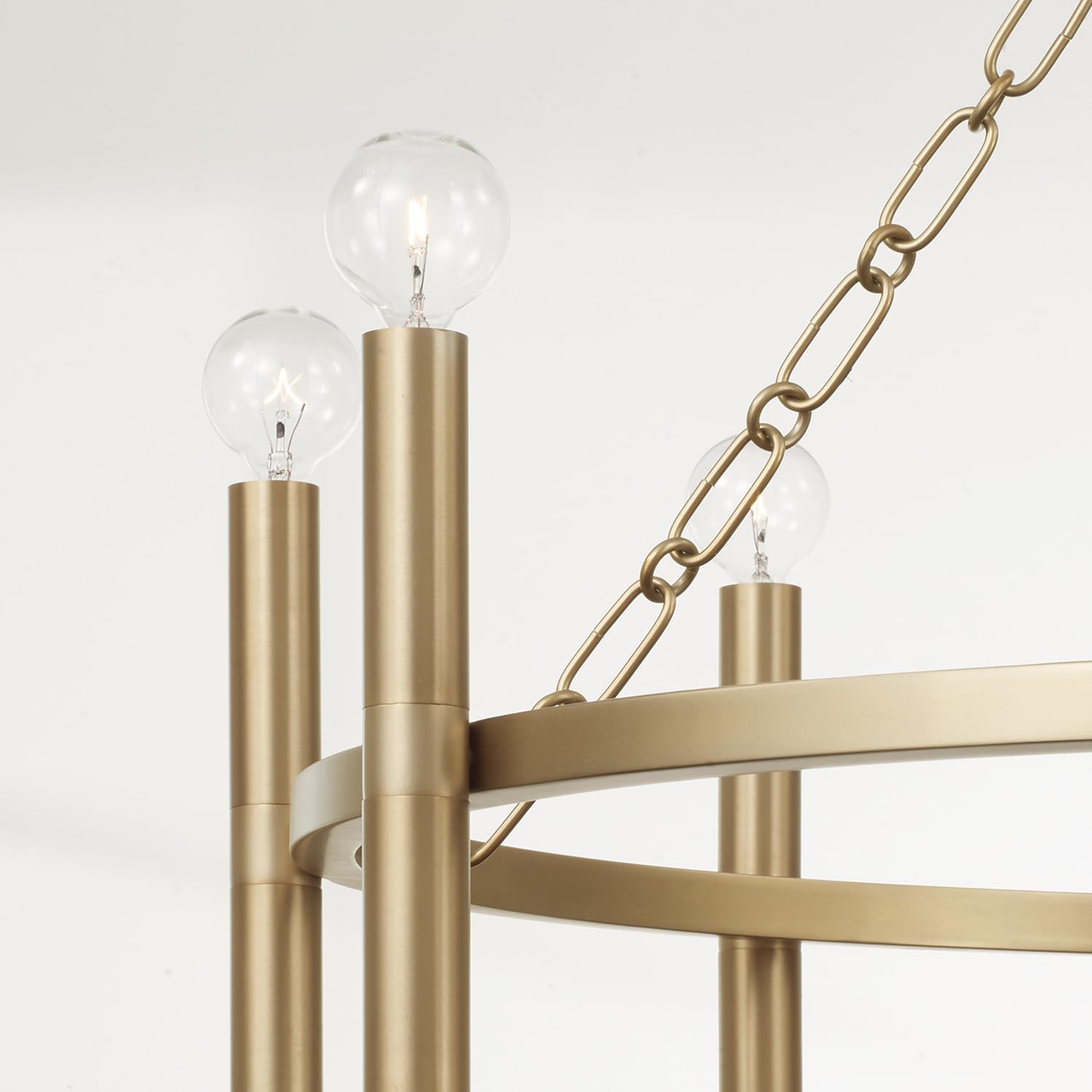 Capital Lighting 462081MA Winton Classic Ring Chandelier, 8-Light 480 Total Watts, 22" H x 28" W, Matte Brass