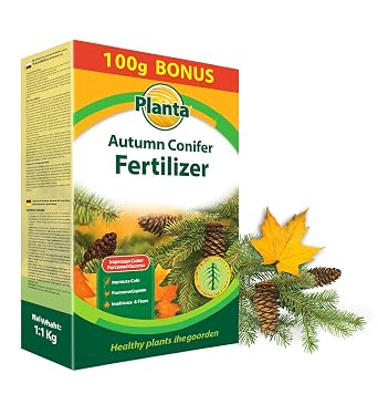 Autumn Conifer Fertiliser 1kg   PK Granules for Evergreens   Strengthens Trees Before Winter   No Nitrogen   Ideal for Spruce, Pine, Fir, Thuja & All Conifers