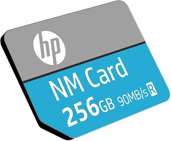 HP NM Card NM100 256 Go - 1