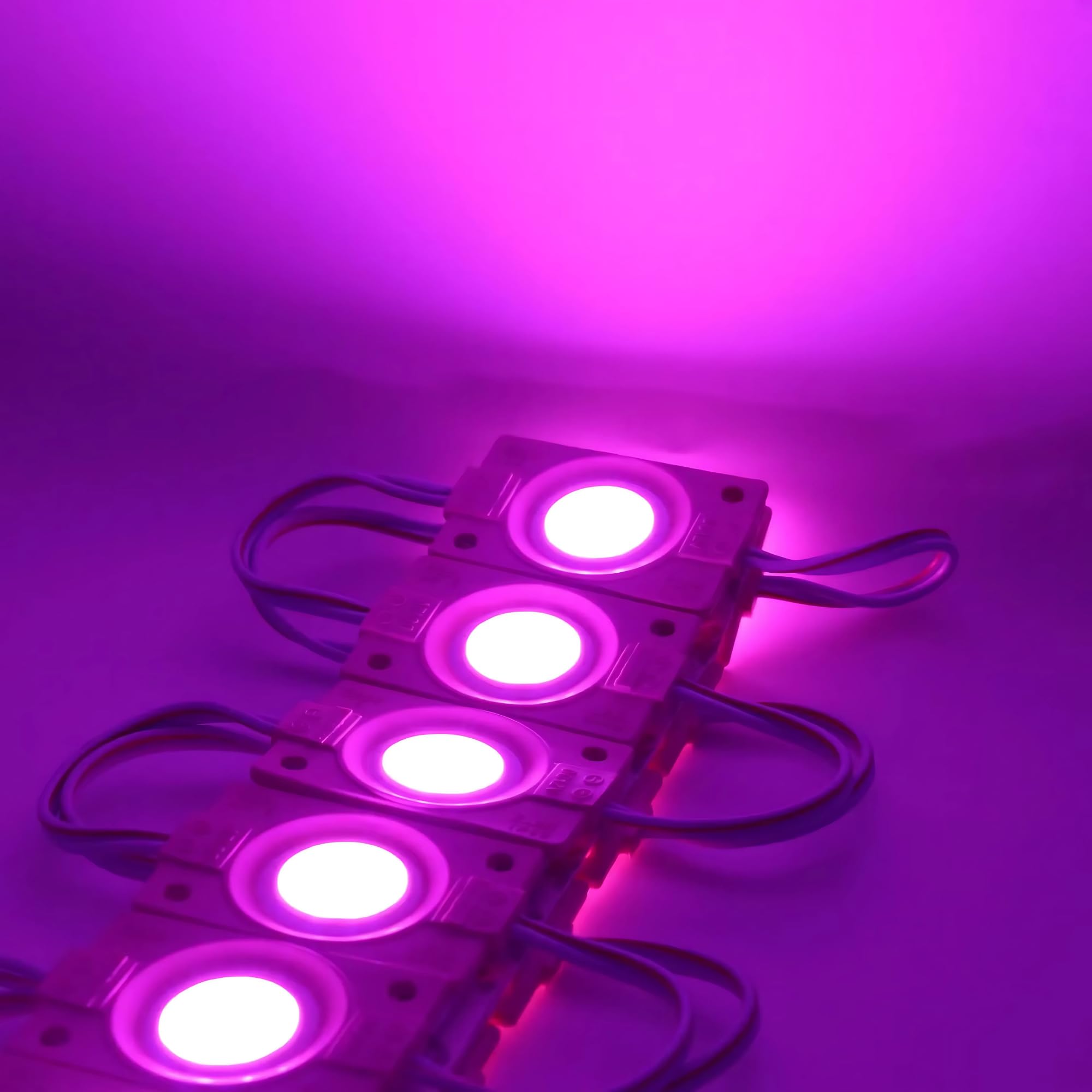 AHORA DECOR – 20 Pieces 12V DC 2.4W Coin LED Light Module – Waterproof & Energy-Efficient LED Bulb for Home, Temple, Car, Bike, DIY Projects & Signboards (Pink) - Image 2 thumbnail