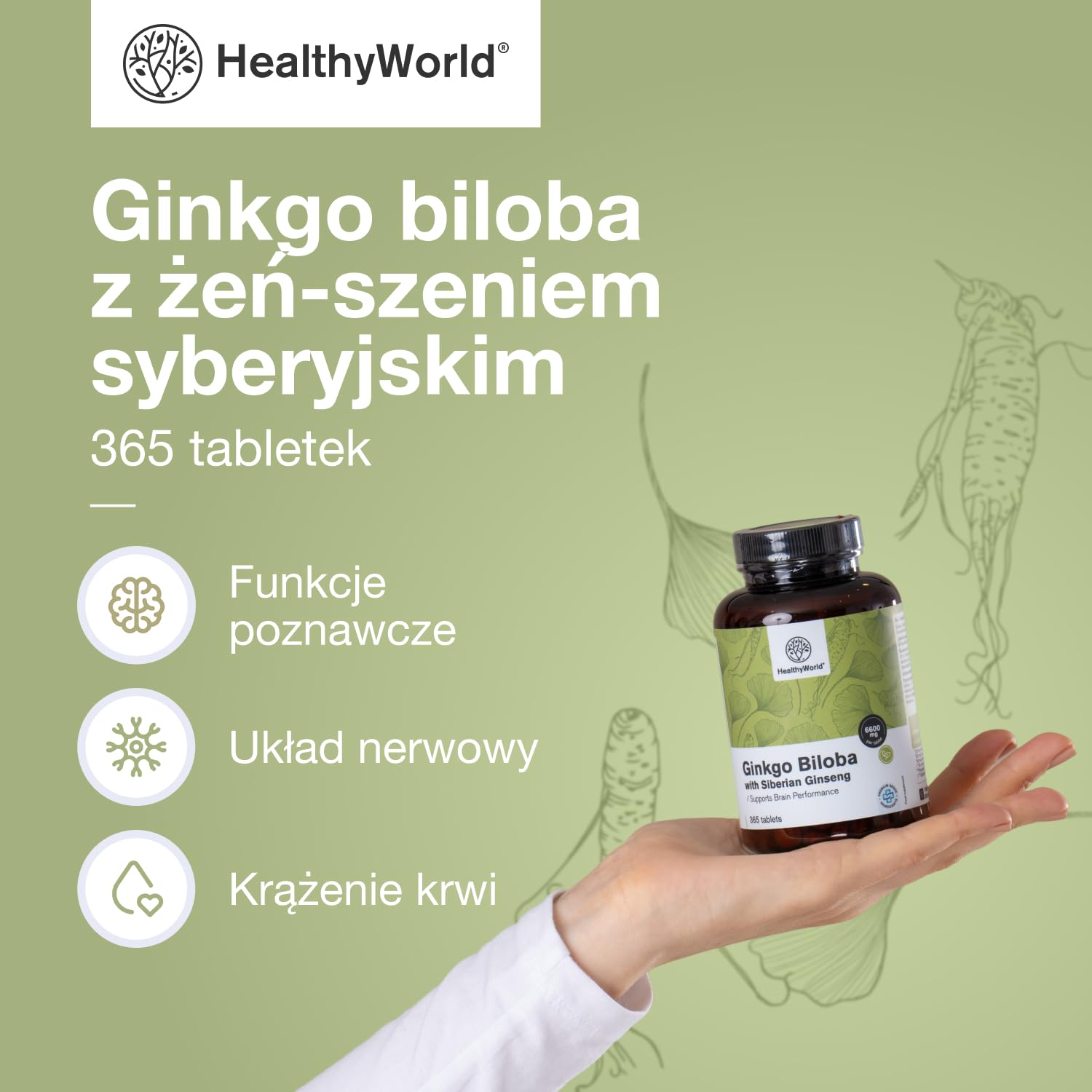 HealthyWorld Ginkgo Biloba + żeń-szeń syberyjski 6600 mg – Wysoka dawka, jakość premium – Wsparcie mózgu, pamięci i koncentracji – 365 tabletek – Ekstrakty 50:1 i 10:1