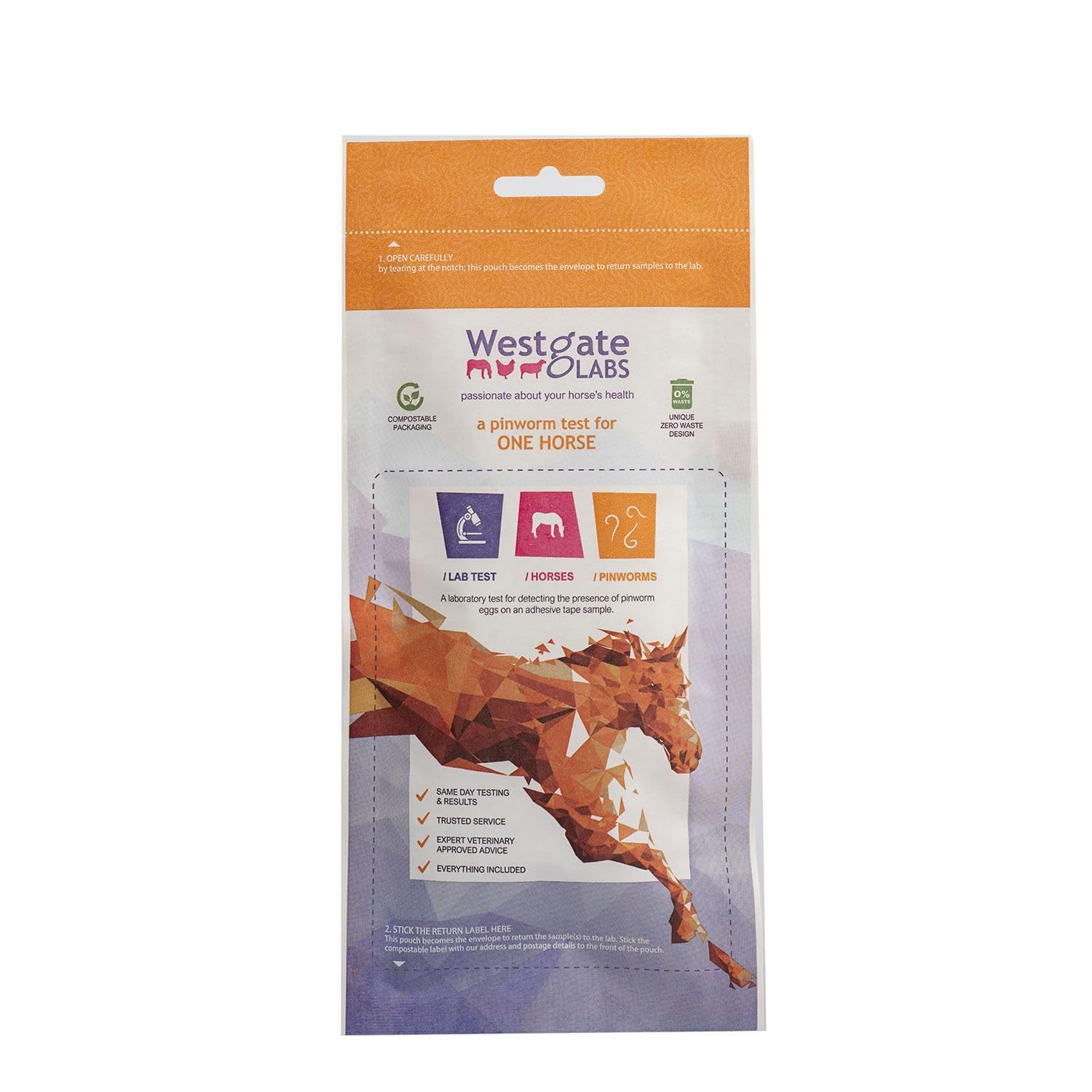 Westgate Laboratories Pinworm Test Kit - Clear, Standard