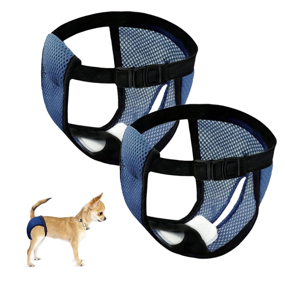 Ceihwa 2 Braguitas Perro Celo Hembra XL Lavables Pantalones Pañales para Perros con 6 Toallas Sanitarias Reutilizable Bragas Menstruales Perro Hembra Bragas Higiénicas Perros en Celo Sangrado Mensual