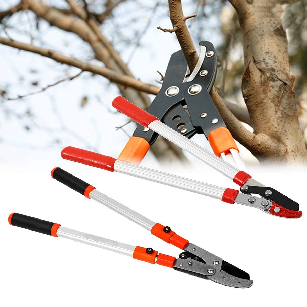Attrezzi per potatura, cesoie a cricchetto telescopiche per Alberi, cesoie da Giardino estensibili, cesoie per Rami manuali
