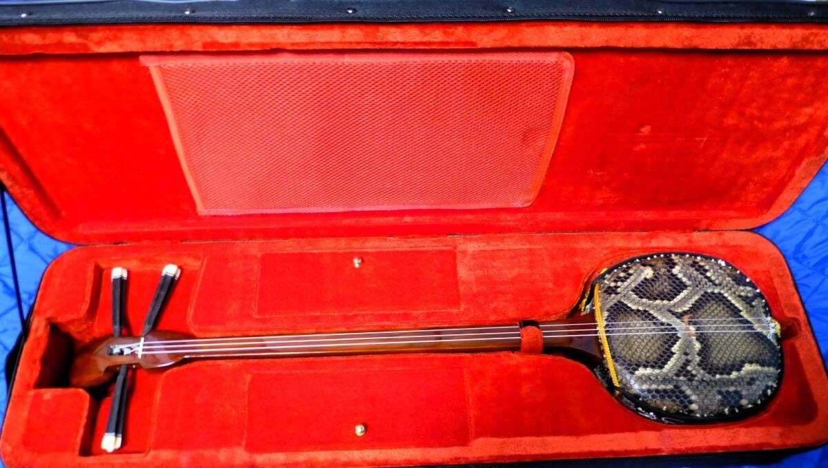 三線 沖縄三線 本蛇皮 ソフトケース付 EDII