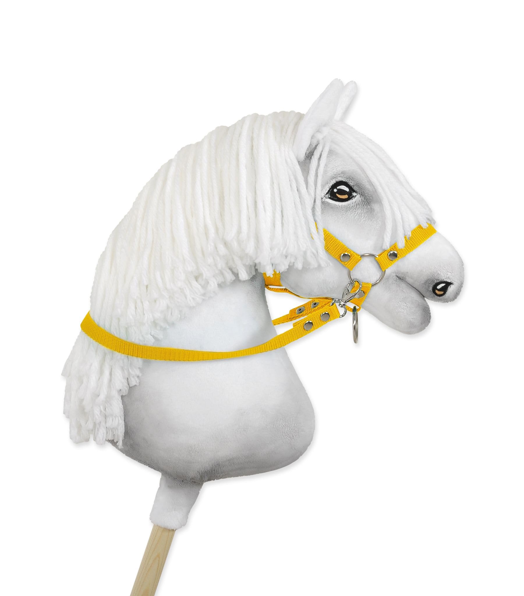 Equipement pour mini shetlands, shetlands, poneys et chevaux – En Selle Prunelle