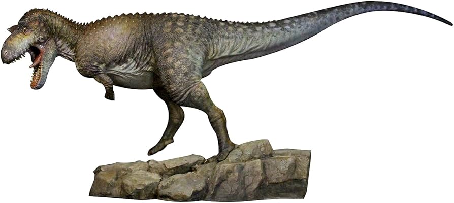 Amazon | BACALYSO | HAOLONGGOOD 1/20 サイズ ダスプレトサウルス