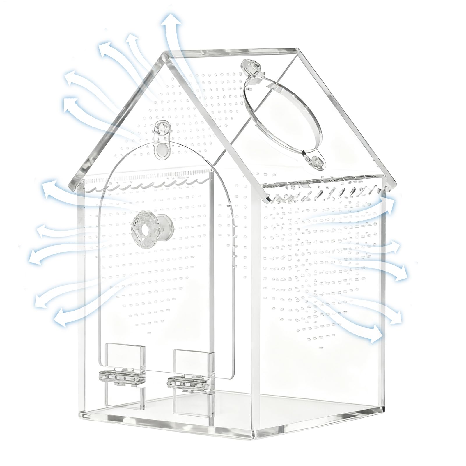 Terrarium pour araignées discret pour observer vos petits animaux en intérieur